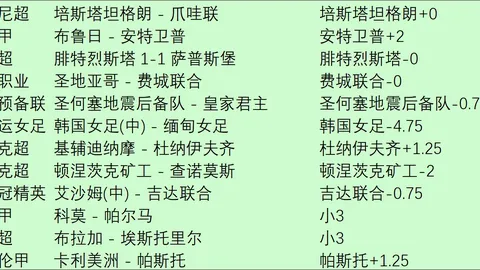 春季赛荣耀时刻，战队实力再证明